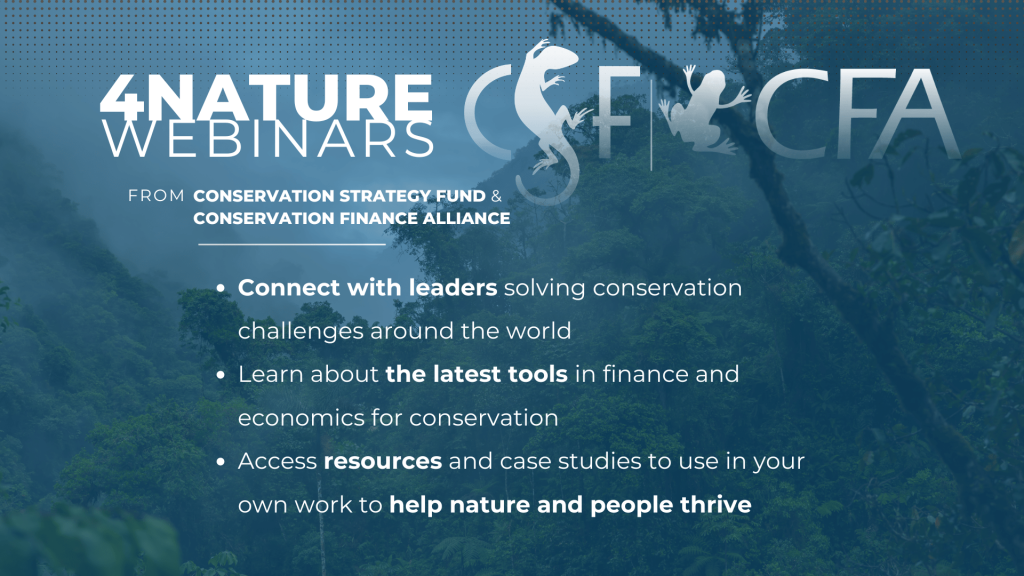 Webinar | Strengthening the Leadership in Conservation: Development of Capacities for Change